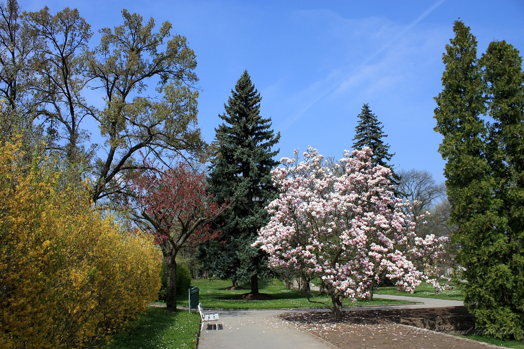 Jubilejni park 1, Znojmo.JPG